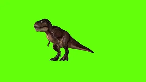 T.rex idle green screen animation 3D rendering Stock Footage 279101956