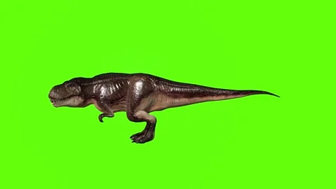T.rex Roar green screen animation 3D rendering Stock Footage 279100763