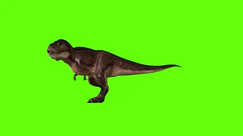 T.rex roar green screen animation 3D rendering Stock Footage 279101961