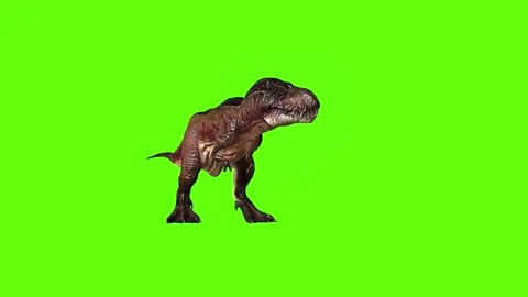 T.rex roar right green screen animation 3D rendering Stock Footage 279101965