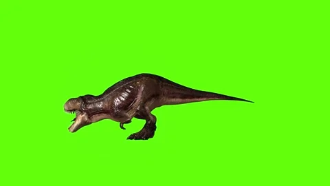 T.rex roar right green screen animation 3D rendering Stock Footage 279343025