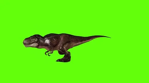 T.rex Runnning attack green screen animation 3D rendering Stock Footage 279019516