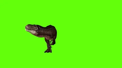 T.rex Runnning attack green screen animation 3D rendering Stock Footage 279020267