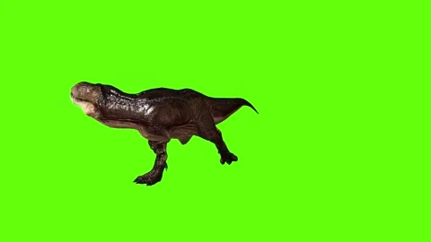 T.rex Runnning attack green screen animation 3D rendering Stock Footage 279020297