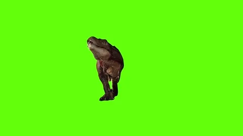 T.rex Runnning attack green screen animation 3D rendering Stock Footage 279020302
