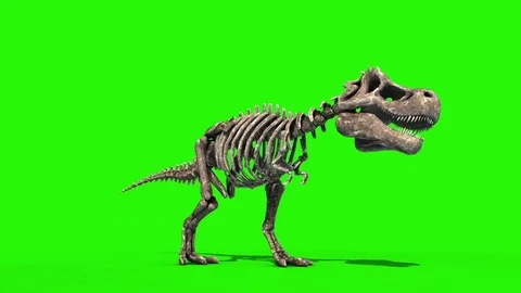 TRex Skeleton Attack Front Jurassic World 3D Rendering green Screen Stock Footage 73831223