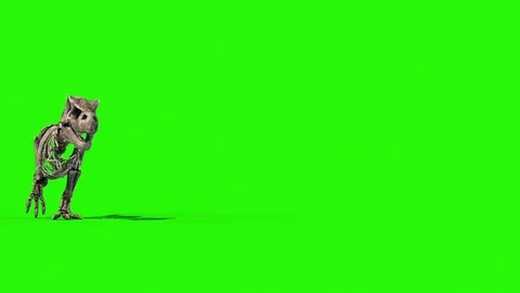 TRex Skeleton Walk Jurassic World 3D Rendering green Screen Stock Footage