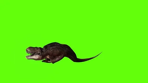T.rex stunned green screen animation 3D rendering Stock Footage 279417149