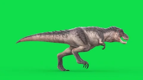 TRex Tyrannosaurus Green Screen Runcycle... | Stock Video | Pond5