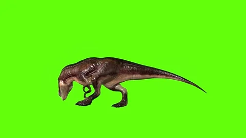 T.rex walk bite right green screen animation 3D rendering Stock Footage 280432278