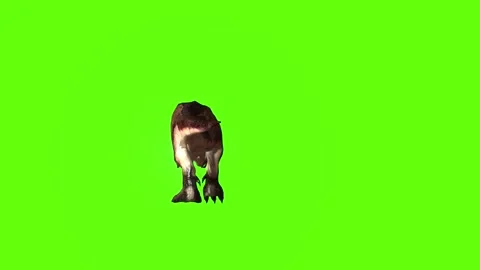 T.rex walking green screen animation 3D rendering Stock Footage 279019456