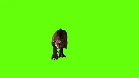T.rex walking green screen animation 3D rendering Stock Footage 279019457