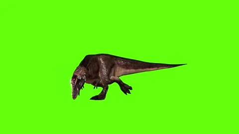 T.rex Walking green screen animation 3D rendering Stock Footage 279021189