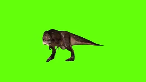 T.rex Walking green screen animation 3D rendering Stockbeeldmateriaal 279021353
