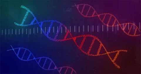 Tri-color gradient shifting driving line graph emerging drifting DNA helices Stock Footage 313148551