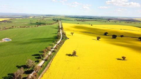 Tri Coloured Fields Aerial View Foto stock