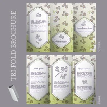 Tri-fold brochure template with flower pattern Stock Illustration