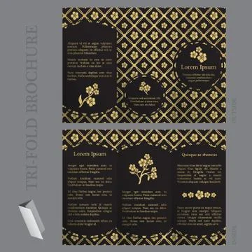 Tri-fold brochure template with forget-me-not flower Stock Illustration