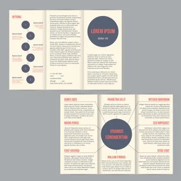 Tri-fold flyer brochure with dots and options Illustrazione stock