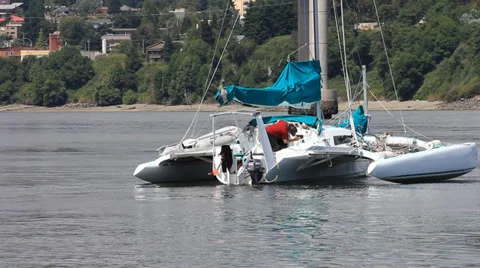 Tri hull sailboat Stock-Footage 25595168