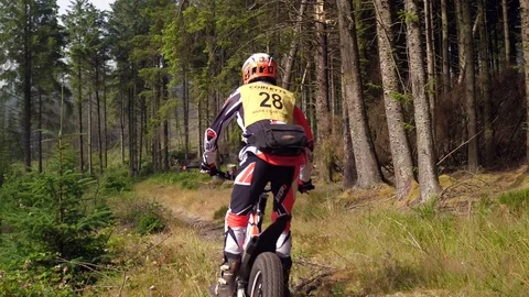 Trial biker riding through pine forest. 4K Stock Footage 93785779
