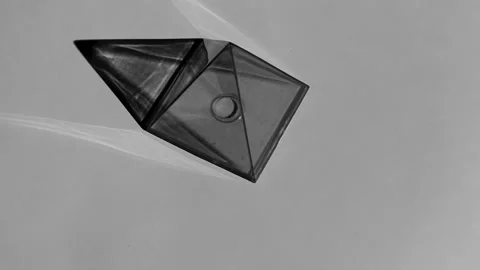 Triangle 3D Fluid Black and White Line Animation in Perspective Stock Footage 304770610