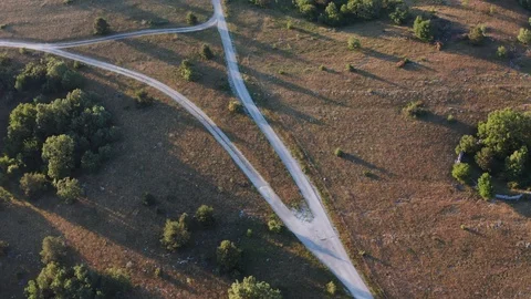 Triangle crossroads among endless pine tree forest in the mountains Stock Footage 120698650