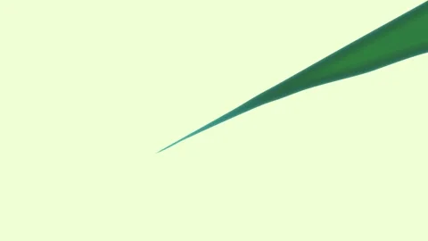 Triangle Flying - Royalty Free Clip Stock Footage 338017287