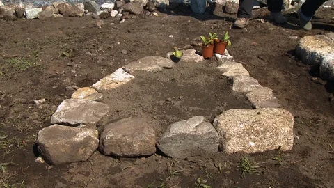 Triangle Garden Plot Stock Footage 118975463