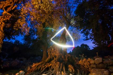 Triangle of light in night forest Stock Photos