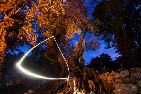 Triangle of light in night forest Stock Photos