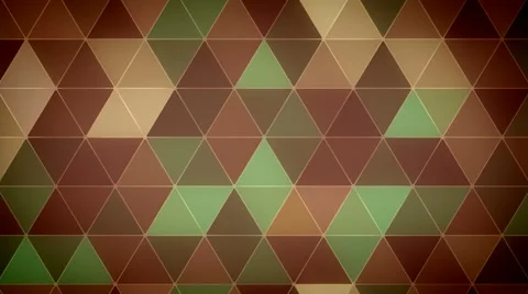 Triangle Polygon Loop 11 Forest Stock Footage 48465751