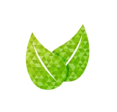 Triangle shape text pattern green leaves Stock Illustration