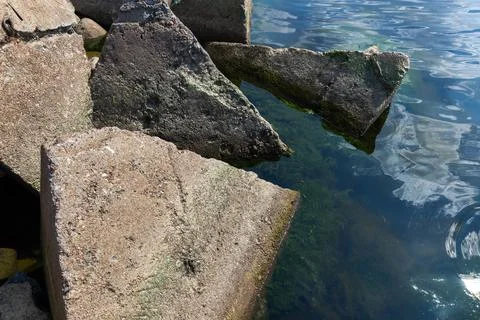 Triangle shaped concrete blocks along a shoreline with algae-covered stones Stock Photos