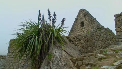 Triangle wall Machu Picchu Video stock 305313760