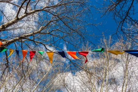 The triangular colored flags hang on a white rope between the branches of trees Stock Photos