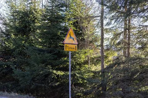 A triangular deer crossing traffic sign stands before a dense forest, warning Stock Photos