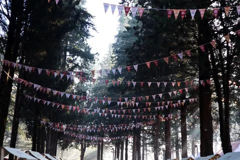Triangular flags hanging outdoors between the Conifer tree and smoke Stock Photos