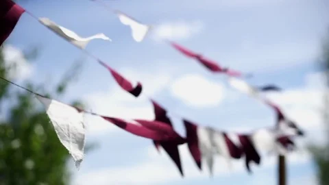 Triangular flags sway in the wind-2 Stock Footage 80967493