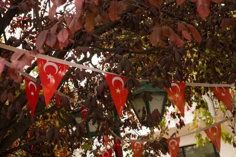 Triangular flags of Turkey hang between autumn Burgundy leaves. Eskisehir, Tu Stock Photos