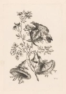 Triangular flowers; Fleors Baroque. Flowers in horn and triangular shapes.... Foto stock