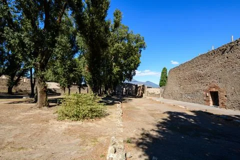 Triangular Forum trees and ancient wall, Pompeii Fotos Stock