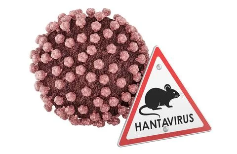 Triangular Hantavirus Warning Sign with Rodent Symbol, 3D Rendering Stockillustratie
