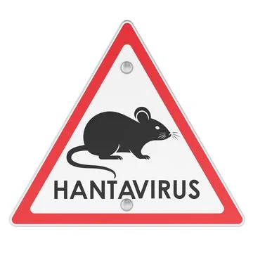 Triangular Hantavirus Warning Sign with Rodent Silhouette, 3D Rendering Stockillustratie