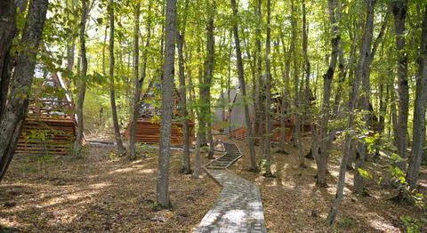 Triangular house made of wood in the forest. Eco hotels in the mountains Stock Photos