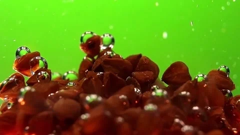 Triangular nuts of buckwheat are slowly falling in the water. Stock Footage 146968568