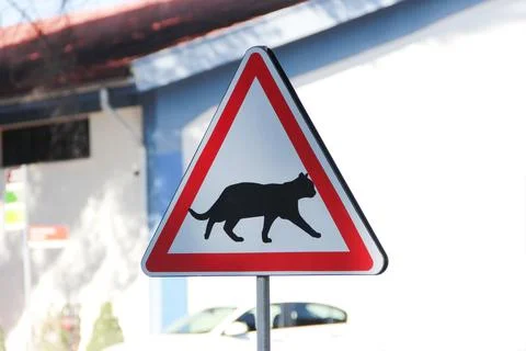 Triangular road sign with a picture of  cat Stock Photos