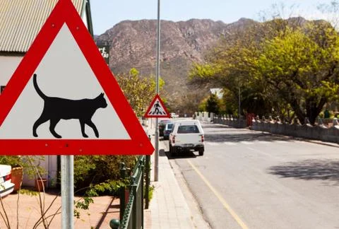 Triangular road sign warning cats are crossing Stock Photos