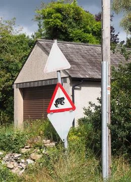  a triangular toad crossing traffic warning sign on a country road in cumb... Foto stock
