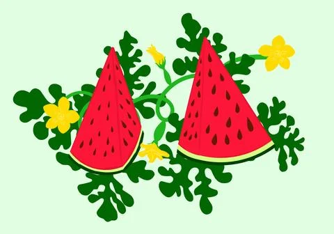 Triangular Watermelon and juicy slices, green leaves and yellow watermelon Stock Illustration